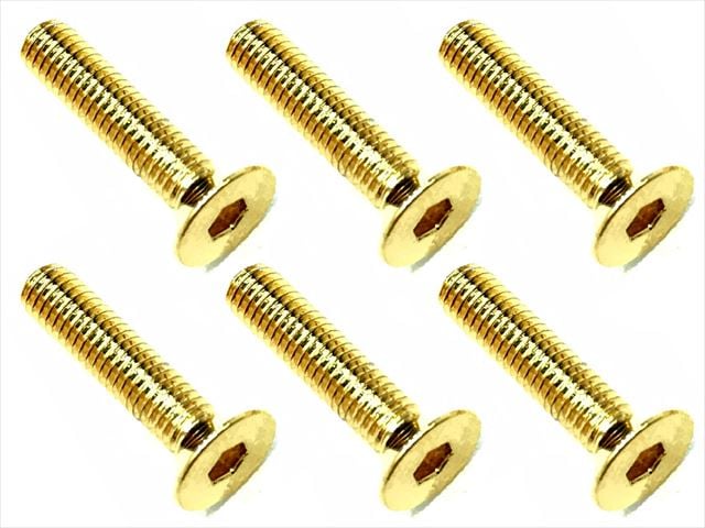 3��14 ���ƥ�쥹�إå������ӥ�(6����) 24K������ɥ�å� 3��14 Stainless steel hex Flat Head Screw (6 pcs.) 24K gold plating