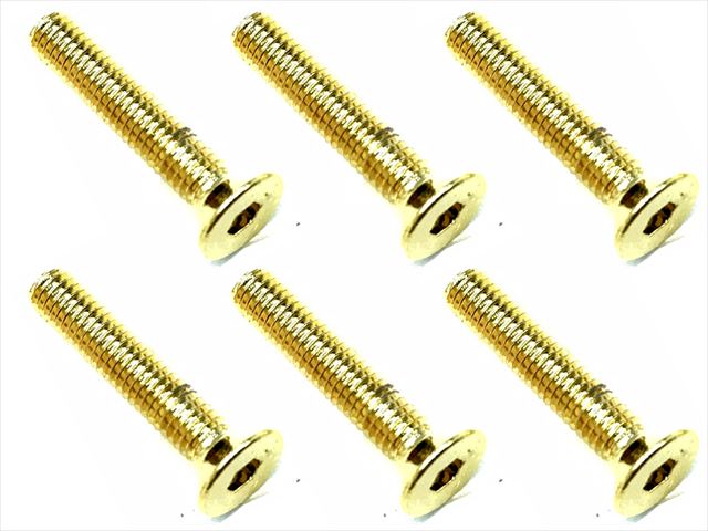 316 ƥ쥹إåӥ(6) 24Kɥå 316 Stainless steel hex Flat Head Screw (6 pcs.) 24K gold plating