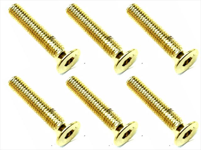 316 ƥ쥹إåӥ(6) 24Kɥå 316 Stainless steel hex Flat Head Screw (6 pcs.) 24K gold plating