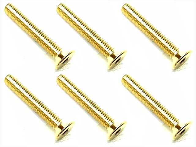 3��20 ���ƥ�쥹�إå������ӥ�(6����) 24K������ɥ�å� 3��20 Stainless steel hex Flat Head Screw (6 pcs.) 24K gold plating
