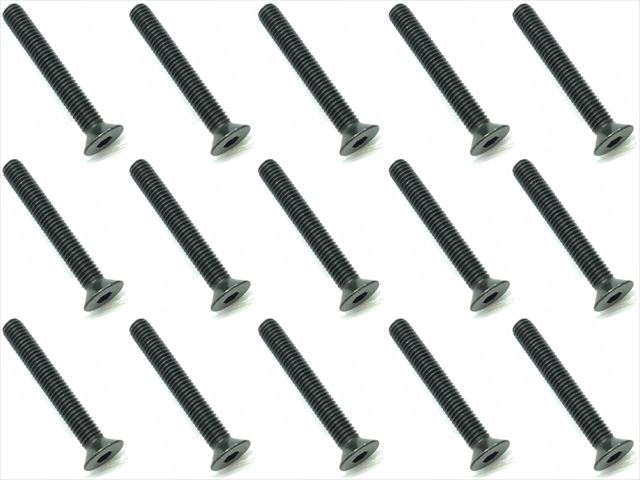 3x22 ��������إå������ӥ� 15���� 3x22 Steel hex Flat Head Screw (15 pcs.)