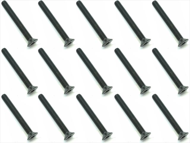 3x25 ��������إå������ӥ� 15���� 3x25 Steel hex Flat Head Screw (15 pcs.)