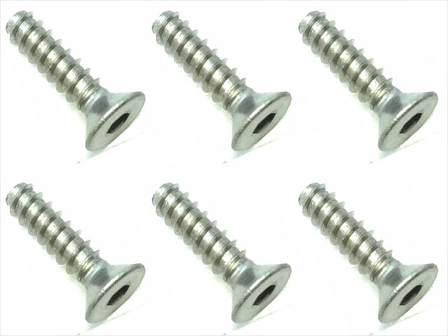 3��12 ������إå��������åԥ󥰥ӥ� 6���� 3��12 Titanium hex Flat tapping screw (6 pcs.)