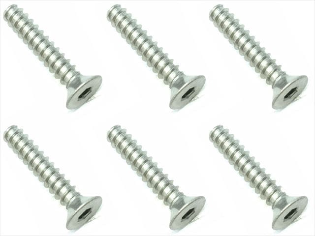 316 إååԥ󥰥ӥ 6 316 Titanium hex Flat tapping screw (6 pcs.)