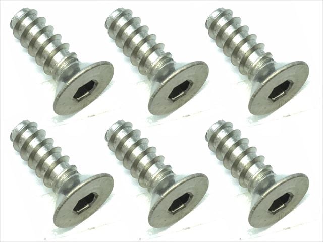 4X12 ������إå��������åԥ󥰥ӥ� 6���� 4X12 Titanium hex Flat tapping screw (6 pcs.)