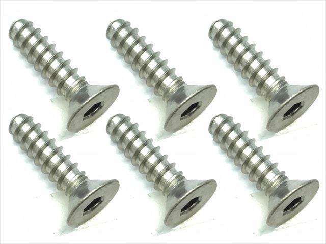 4X15 ������إå��������åԥ󥰥ӥ� 6���� 4X15 Titanium hex Flat tapping screw (6 pcs.)