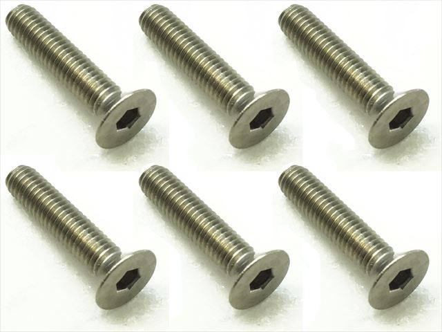 ������إå������ӥ� 6���� 3��14 Titanium hex Flat Head Screw 3��14 (6 pcs.)