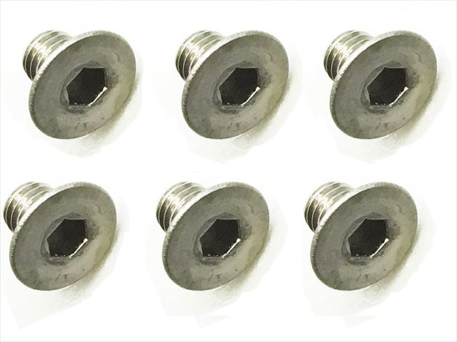 4x6 チタンヘックス皿ビス 6本入 4x6 Titanium hex Flat Head Screw (6