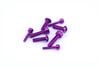 FUTABA 6PV�ѥ���ߥ�����塼���å�(�ѡ��ץ�)    ��Aluminum Screw Set for FUTABA 6PV (Purple)