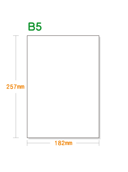 ノーカーボン用紙】 B5 白紙 [N60上用紙] | 用紙Labo