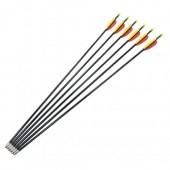 アーチェリー用 グラスファイバー矢 6本 28インチ