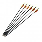 アーチェリー用 グラスファイバー矢 6本 26インチ