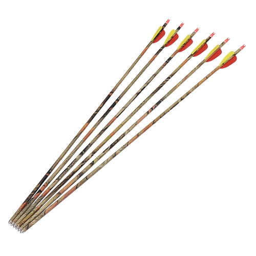 ���������꡼�ѡ��������29�����������ե顼���塡6��