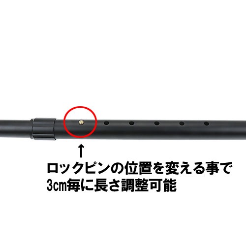 ZAP COVERT CANE(杖)スタンガン エクストリーム ライト付 100万ボルト