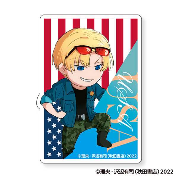 地政学ボーイズ カラーステッカー アメリカミニ