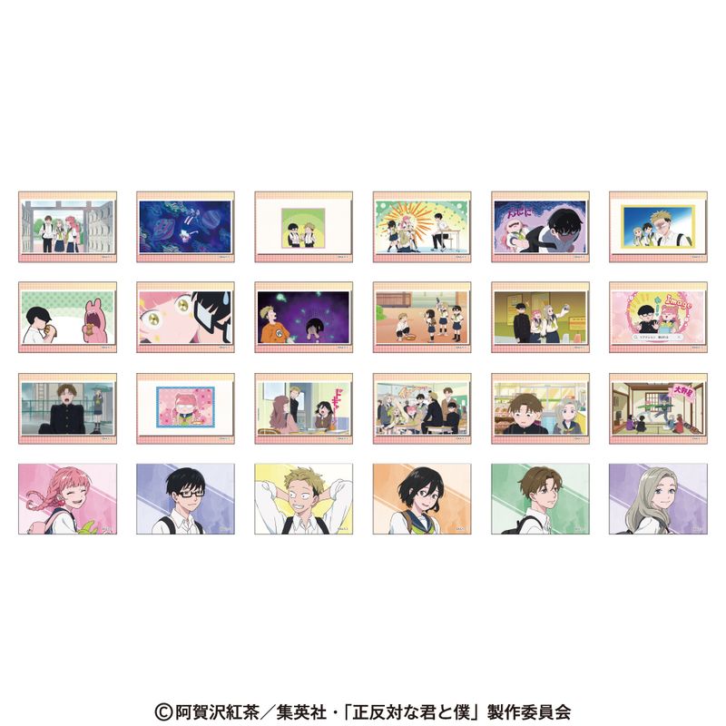 「正反対な君と僕」 トレーディングコレクションカード（全24種）　BOX 