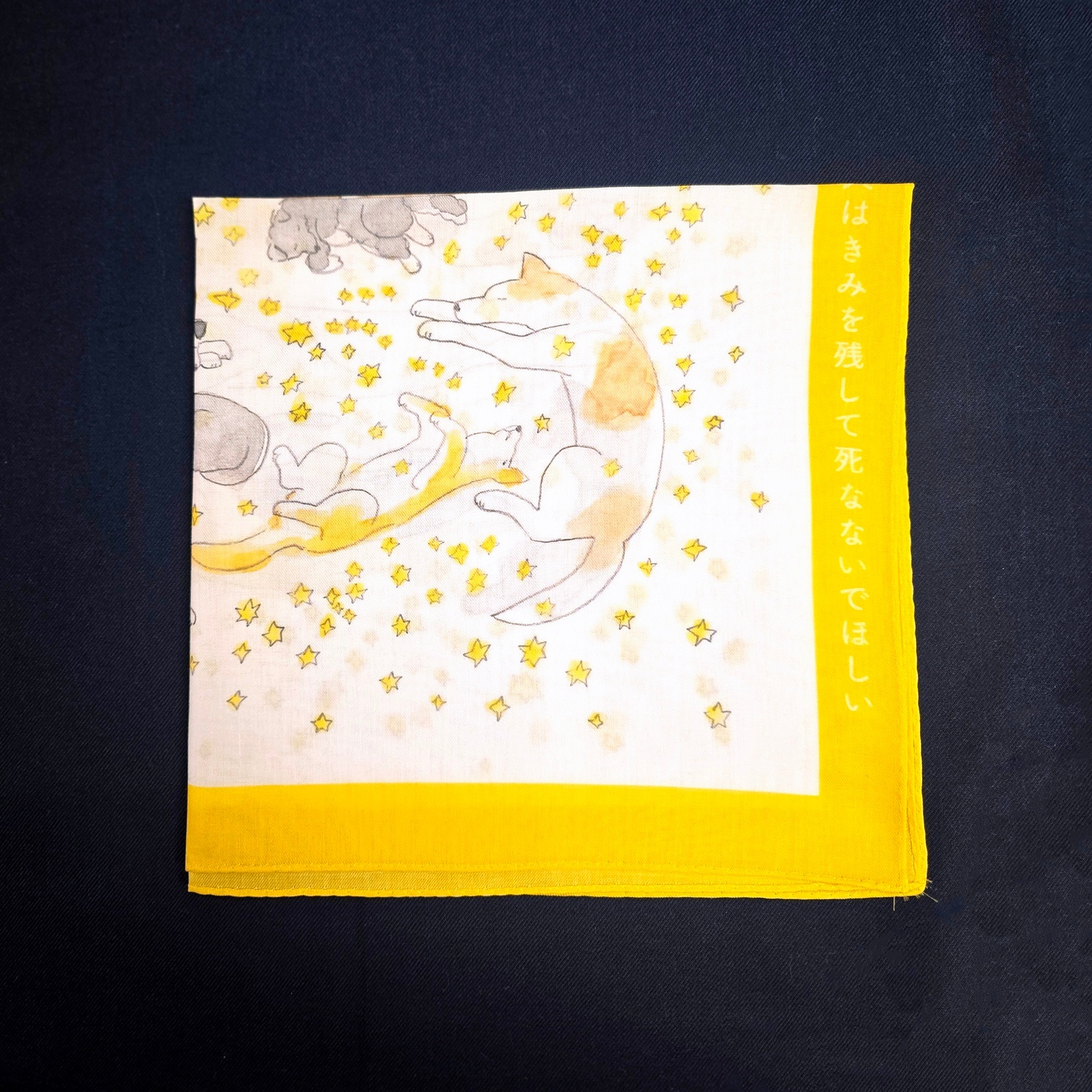 写メでしか見てないけれどきみの犬はきみを残して死なないでほしい/ことばのハンカチ「タンカチ」岡野大嗣×安福望