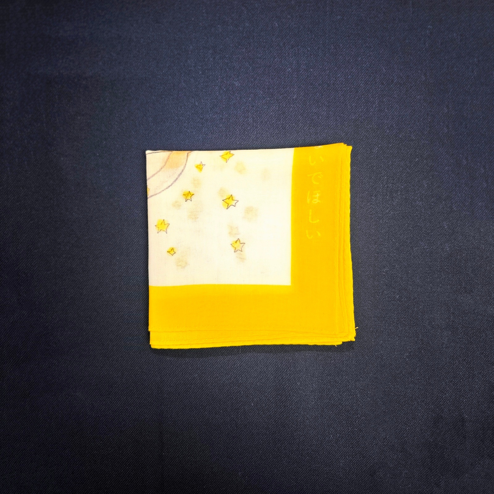 写メでしか見てないけれどきみの犬はきみを残して死なないでほしい/ことばのハンカチ「タンカチ」岡野大嗣×安福望