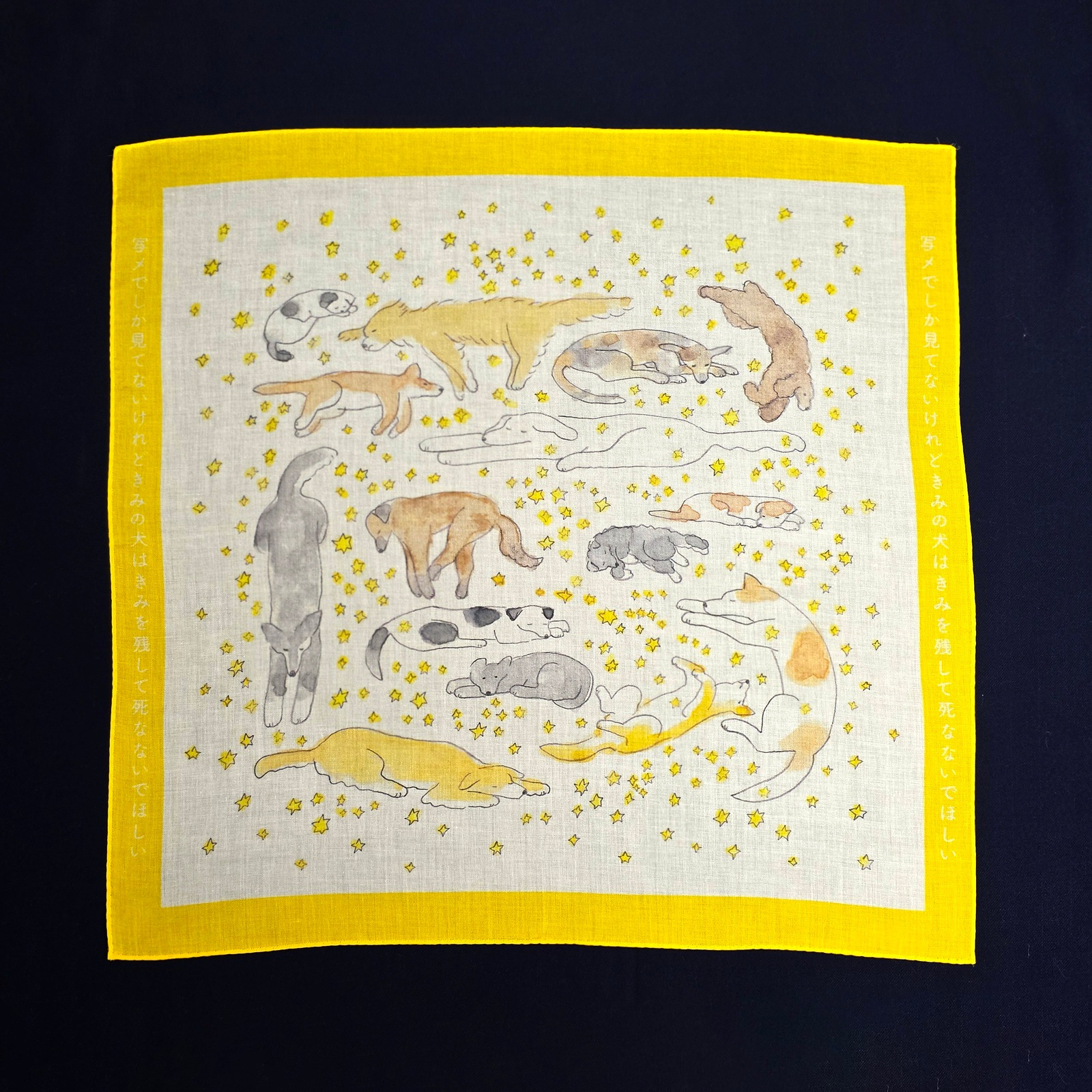 写メでしか見てないけれどきみの犬はきみを残して死なないでほしい/ことばのハンカチ「タンカチ」岡野大嗣×安福望