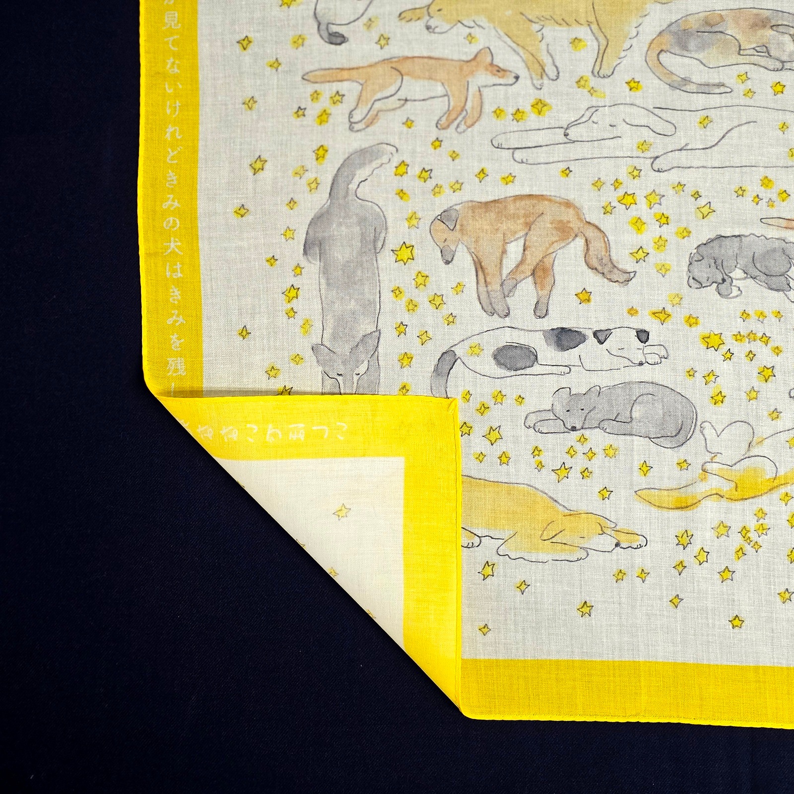 写メでしか見てないけれどきみの犬はきみを残して死なないでほしい/ことばのハンカチ「タンカチ」岡野大嗣×安福望