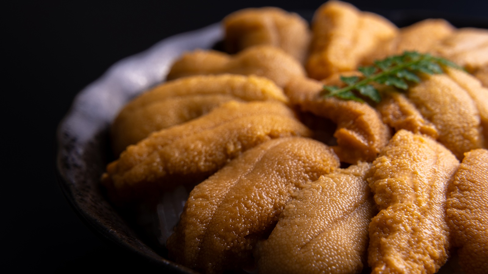 送料無料【冷蔵】北海道産塩水むらさきうに(冷凍品同梱不可)