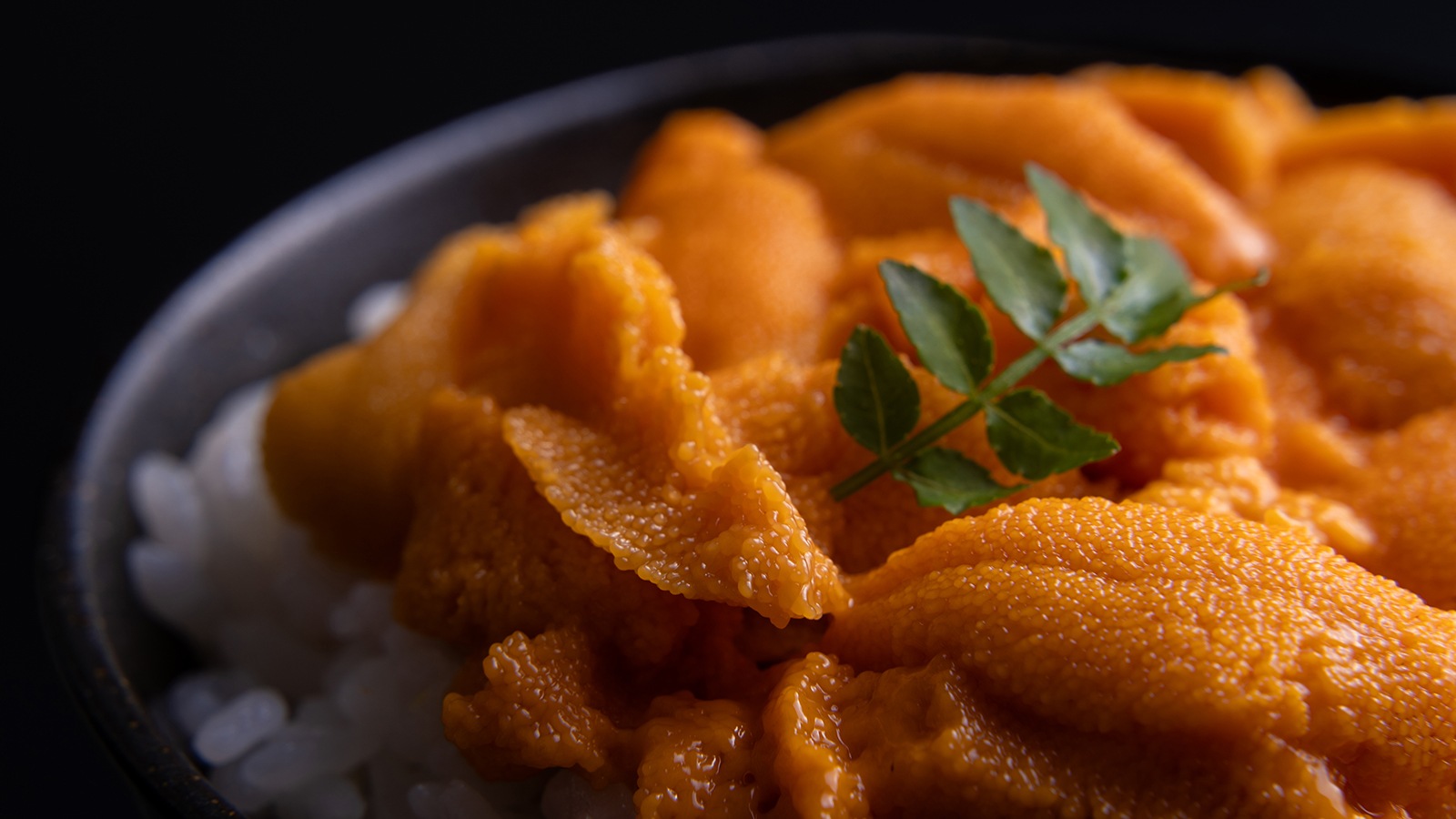 送料無料【冷蔵】北海道産塩水ばふんうに　（冷凍品同梱不可）