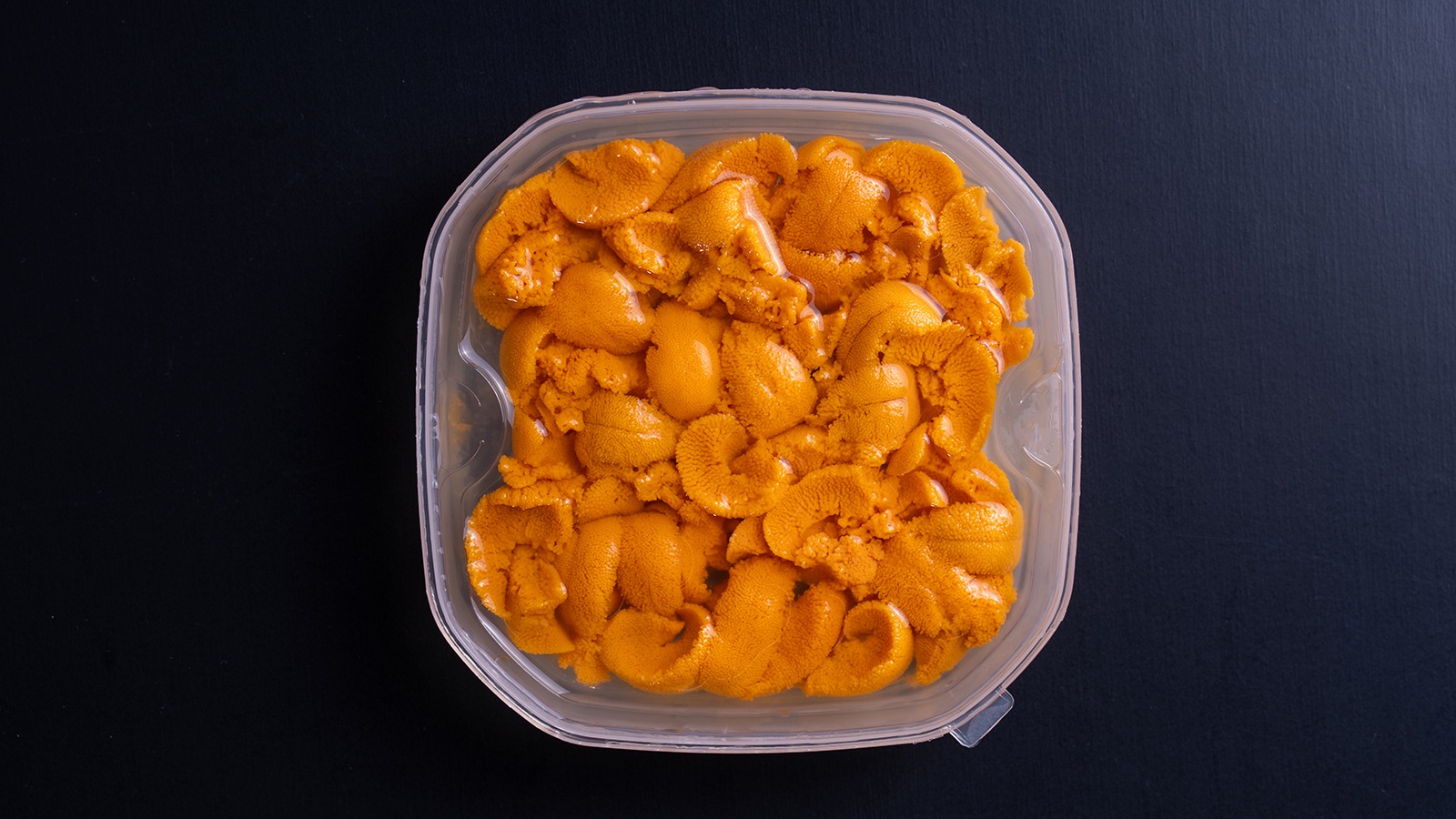 送料無料【冷蔵】北海道産塩水ばふんうに　（冷凍品同梱不可）