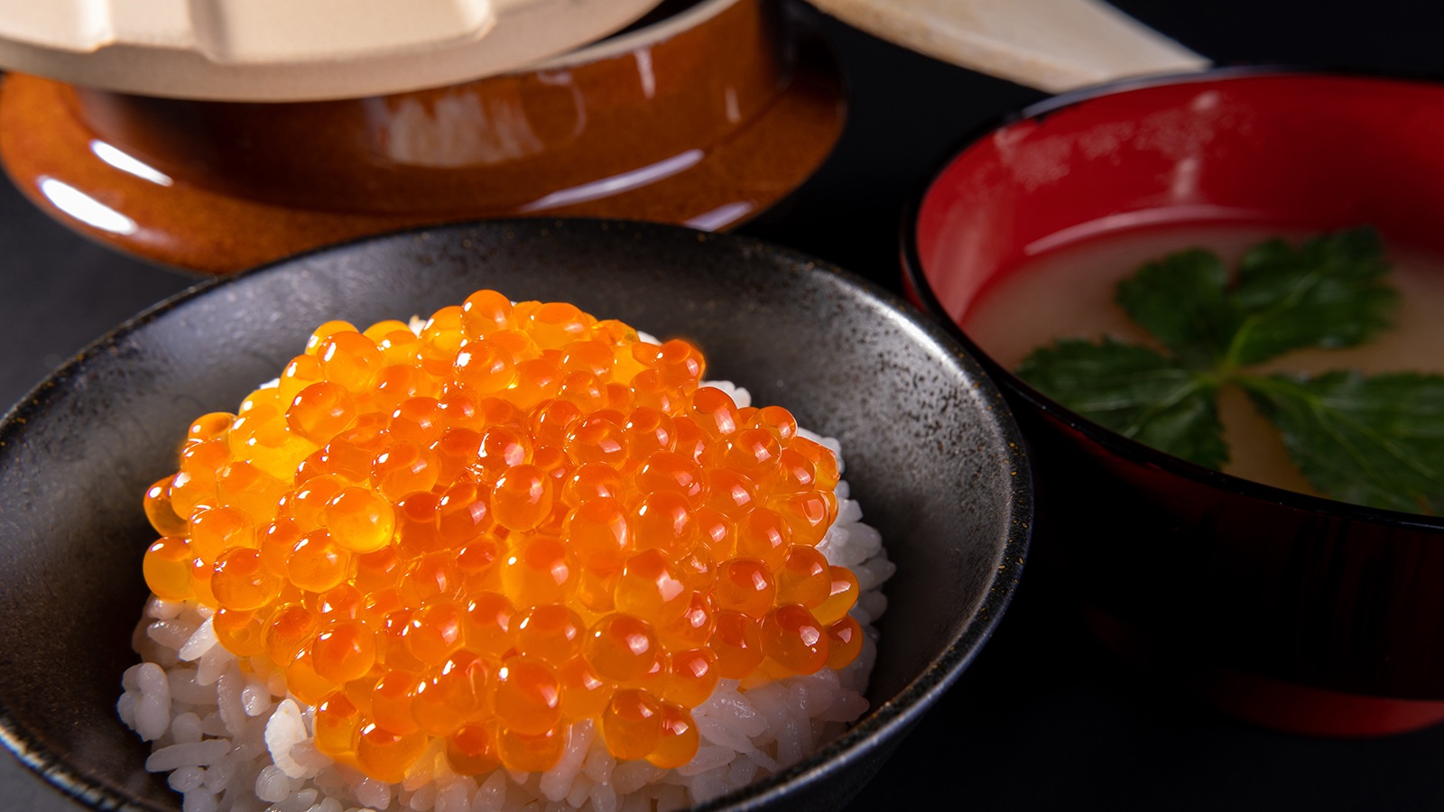 送料無料【冷凍】自社製造いくら醤油漬け(250g)