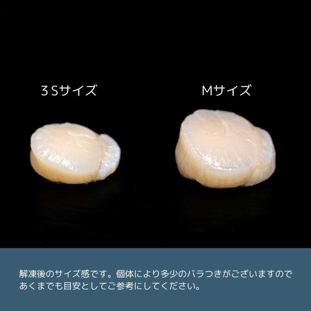 送料無料【冷凍】刺身用帆立貝柱500g Sサイズ