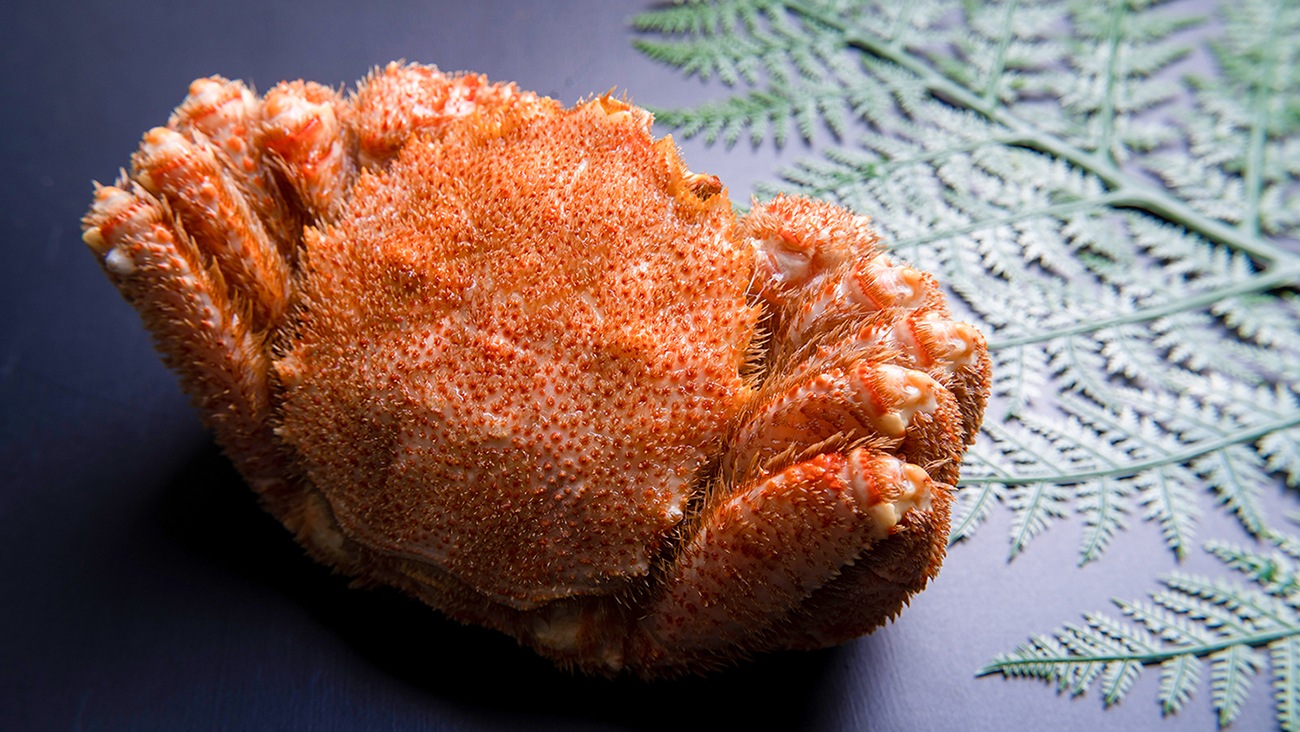 送料無料【冷凍】毛蟹980g　