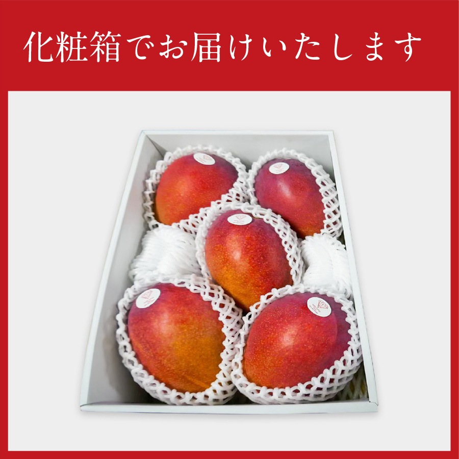 KEN　宮古島産　アップルマンゴー　20キロ 宮古島のマンゴー通販なら！マンゴー共和国 by 島の駅みやこ