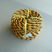 ɸ�������� �ȥ������ #12����100m����1��