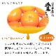 ������̵���ۤߤ��󥸥塼����500ml��12���� �� ����󥸥��塼�� �ߤ��󥸥塼�� �̽�100% ���ȥ졼�� ���塼�� ����� �ߤ��� �����ߤ��� ��ɲ ������ �ץ쥼��� ���� ���渵 �����롡��Ϸ����