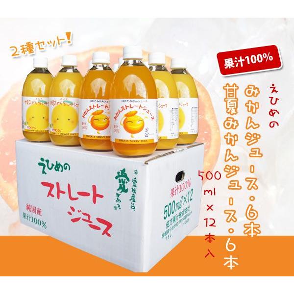 �ߤ��󥸥塼��6�ܡ��ŲƤߤ��󥸥塼��6�ܥ��å�(500ml��12����) �ð�ɲ ̵ź�� ���ե� �ץ쥼��� ����� ����� ���渵 ����� ����
