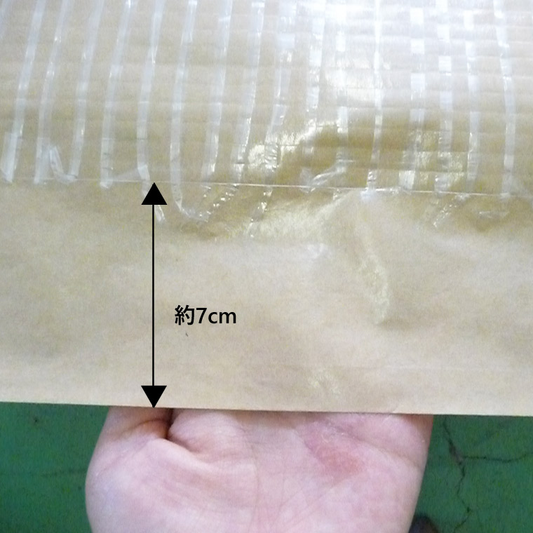 ��ˡ���͸��������PE�������� ��50g�� 1200mm����100m�� �ڥ�����2�ܥ��åȡ�