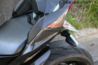 SPEEDRA テールサイドカバー ドライカーボン