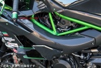 SPEEDRA ラムエアダクトカバー ドライカーボン