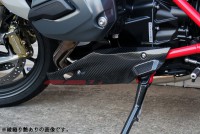 SPEEDRA アンダーカウル 左右セット ドライカーボン
