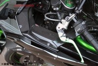 SPEEDRA インナーサイドパネル 左右セット ドライカーボン