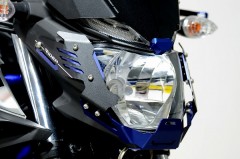 RIDEA アルミヘッドライトカバー&アルミショートスクリーンセット