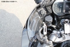 SPEEDRA インナーサイドカバー 左右セット ドライカーボン