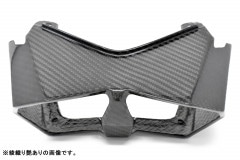 SPEEDRA テールライトカバー ドライカーボン