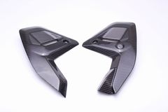 SPEEDRA コントロールユニットカバー 左右セット ドライカーボン|1001cc~|BMW