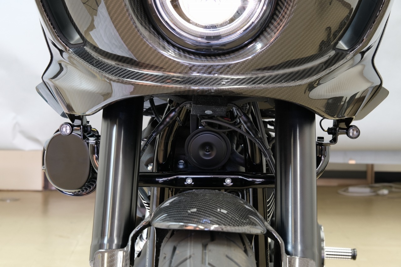 SPEEDRA アルミ削り出しウィンカーステー | Harley-Davidson,FXLRST