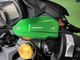 SPEEDRA �ޥ�����������������å�