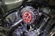 SPEEDRA S&S���ƥ륹�������꡼�ʡ��ѥ��С� �ɥ饤�����ܥ�