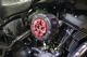 SPEEDRA S&S���ƥ륹�������꡼�ʡ��ѥ��С� �ɥ饤�����ܥ�