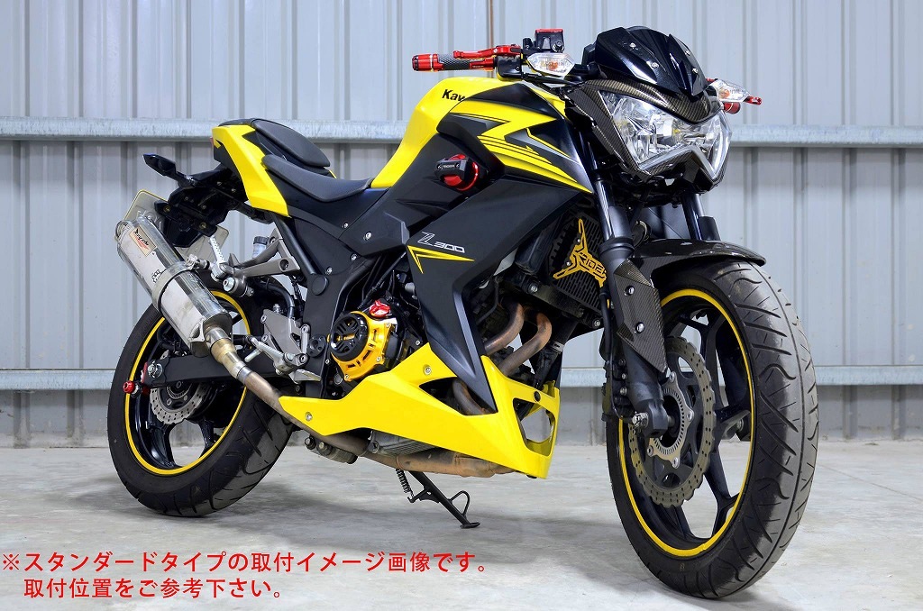 RIDEA �ե졼�ॹ�饤���� �᥿��å�������