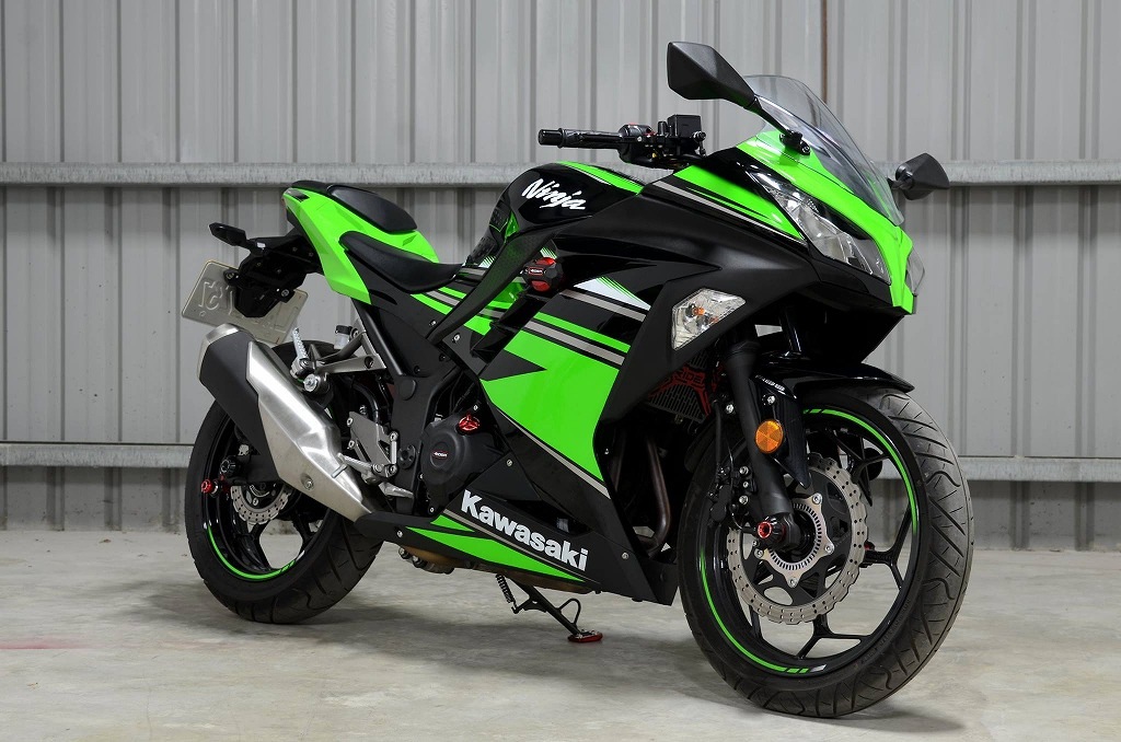 RIDEA �ե졼�ॹ�饤���� �᥿��å�������