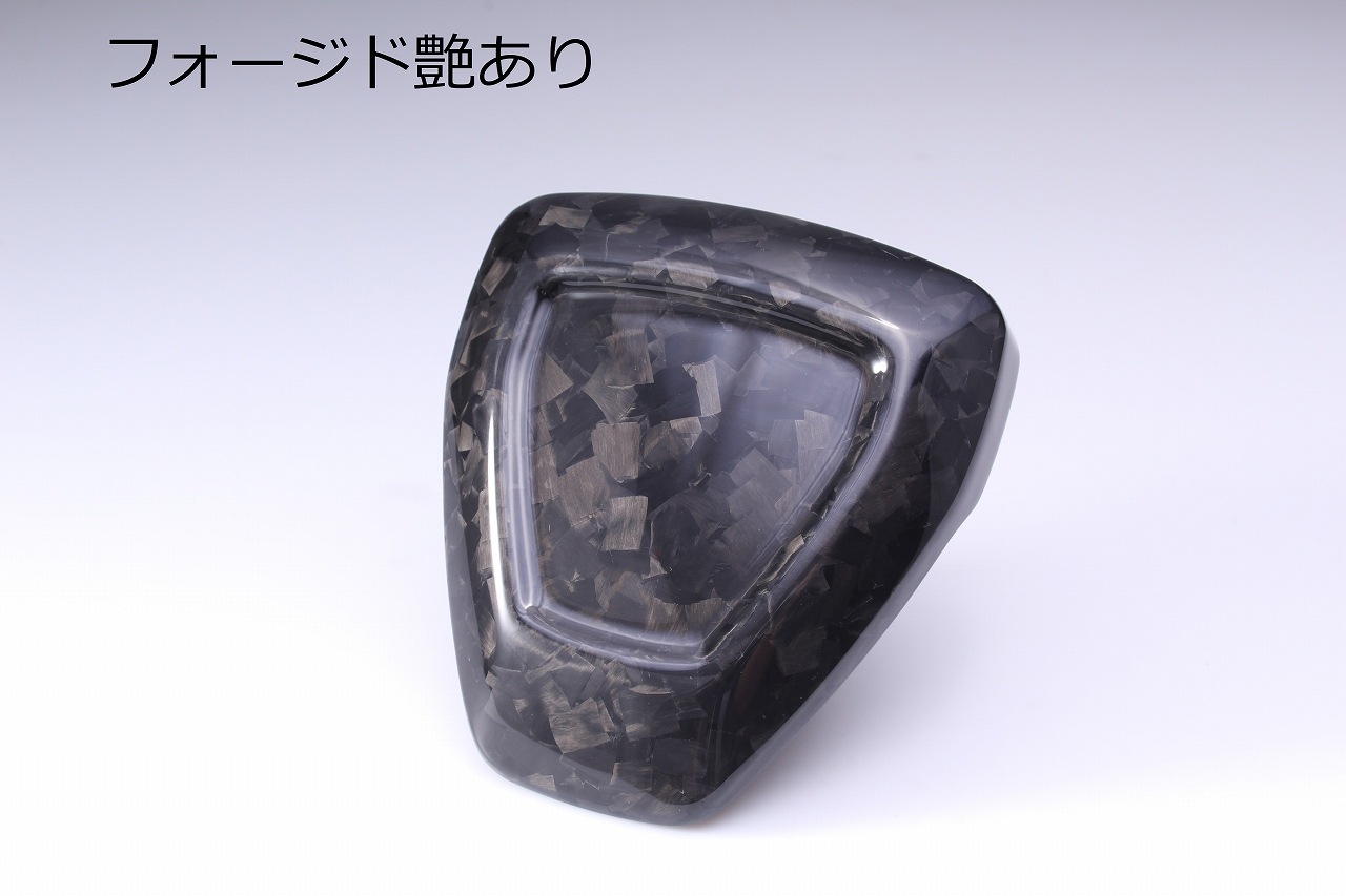 SPEEDRA オイルクーラーカバー ドライカーボン | Harley